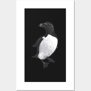 Razorbill Posters and Art